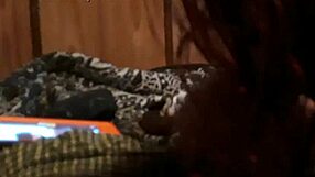 interracial sucking on fat dick destroyer