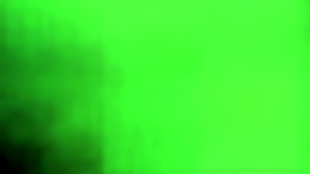 Vintage Pornostalgia Collection