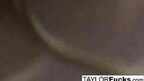 brunette taylor vixen 'like me playing with amazing tits and pussy?'