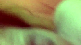 Video From November 27, 2016