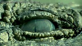 What makes this croc bikini girl so sexy?