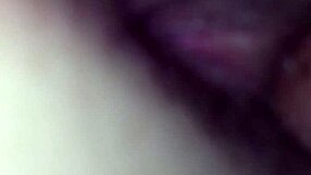 Amateur Creampie With Little Brother And Not Niece