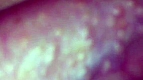 Amateur Creampie With Little Brother And Not Niece