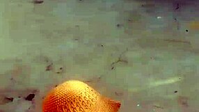 Ebony Amateur Fucking By The Door.