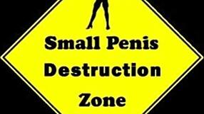 the short dick man faces intense penis humiliation in sph clip