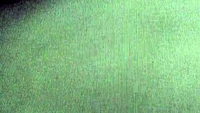 sister in lahore with pakistani family during a quiet visit