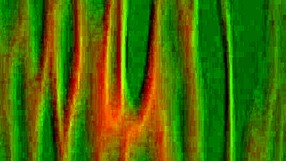 Circo rojo chapter 9 with latina actresses