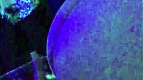 a compilation of amateur deepthroats and doggystyle fucks