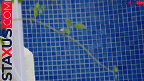 Can my innocent boyfriend handle this monster cock?