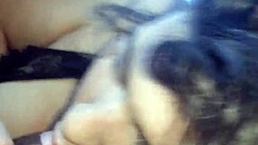 Amateur blowjob in car