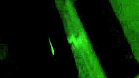 Dirty-talking Latina mommy bends over for anal doggystyle assfucking.