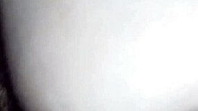 Chilean Beauty's White Ass And Vagina