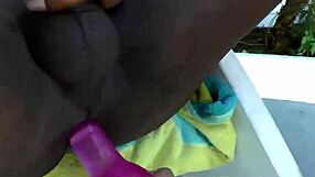 Black Shemale Sucked And Dildoed