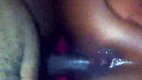 Fight Night Round One!