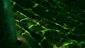 She Struggles to Swallow the Too-Long Ebony Cock.