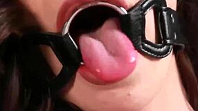 Alexa Scout's Extreme Solo Stream Number 008