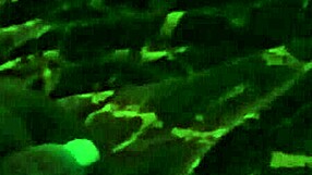 She Struggles to Swallow the Too-Long Ebony Cock.