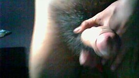 watch a hairy cock stroked in slow masturbation