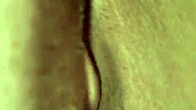 Alla Fine Sono Riuscito A Rompergli La Figa