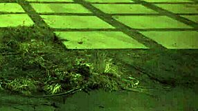 cute step daughter punished in garage bondage? are you ready?