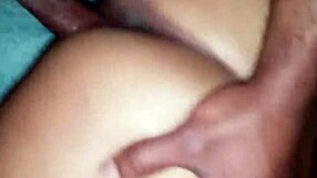 Download the 2017 video file 005601