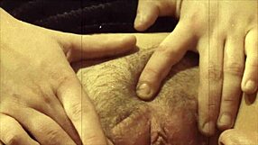 Vintage family secrets unfold in taboo strokes.