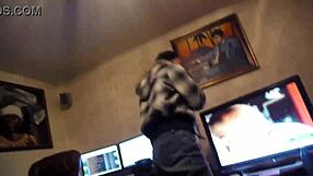 My wild Irish rose hoe in the hood