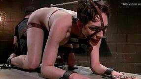 Sclavă vibrată puternic pe dispozitiv bondage, omule! se îneacă și e legată în joc kinky dur pentru control total.