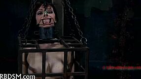 I enjoy free punishment videos