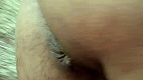 Bundinha wants dick to eat.