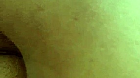 Bundinha wants dick to eat.