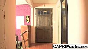 Carpi Cavanni and Jessica Jaymes Engage in Lesbian Fucking with Oral