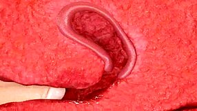 Basara shares her Japanese story in a casual conversation.