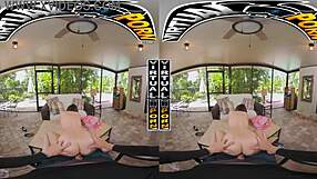 Gorgeous babes ride cock in pov compilation scenes