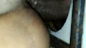 Brazilian Holiday Bareback Fucking