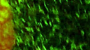 Big Juicy Milf's Ass Fucked By Younger Guy In Homemade Scene