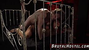 游客浴室支配狂欢