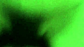 couple engages in passionate sex