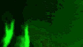 Interracial Pussy Licking Session