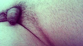 Masturbating Cock in Intense Session