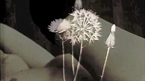 Two Centuries Of Vintage Pornography