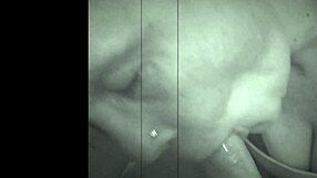 krissy dixon starts oral all-stars debut with pov cumshot swallow. cheating milf amateurs enjoy the facial.