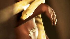 Bolly Babe Sure Is Pretty