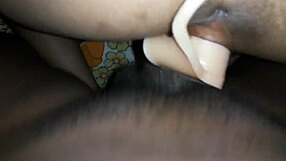 My wife wants two amateurs for bold action