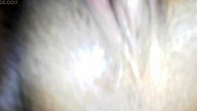 My wife wants two amateurs for bold action