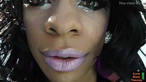 hey, why don't ya watch this solo black tranny stroke her cock?