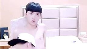 Gay vietnamese encounters: teasing passions or hidden desires?