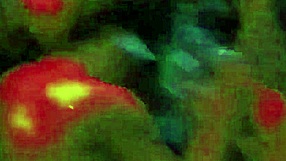 halloween party with a sexy nude girl in 2009