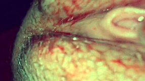 dirty bitch wife gets slutty treatment in hardcore action