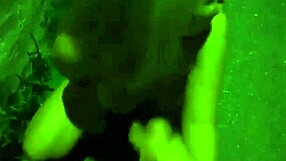 Stunning gf gives blowjob in the street at night